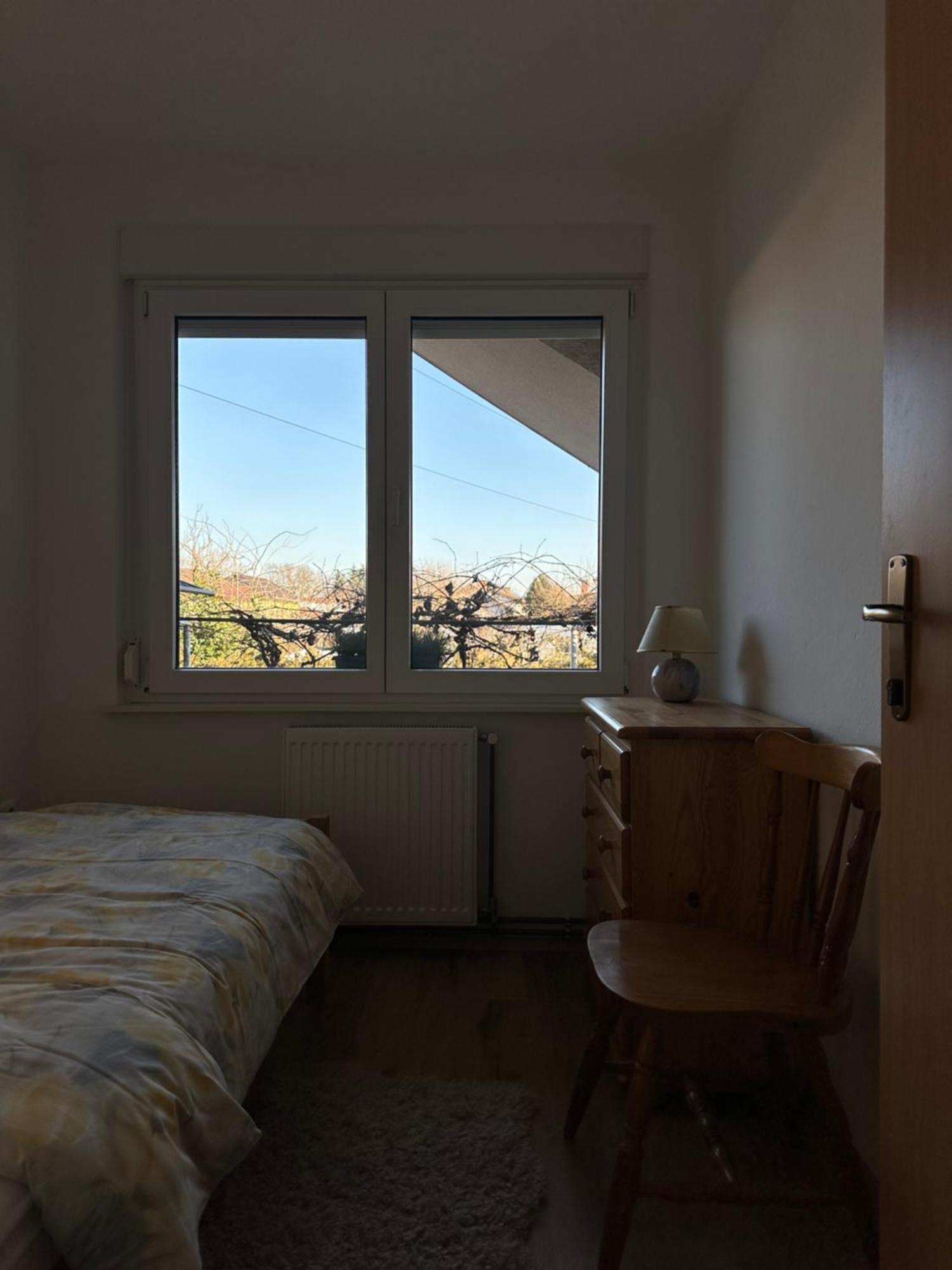 Vanessa Apartment リュブリャナ エクステリア 写真