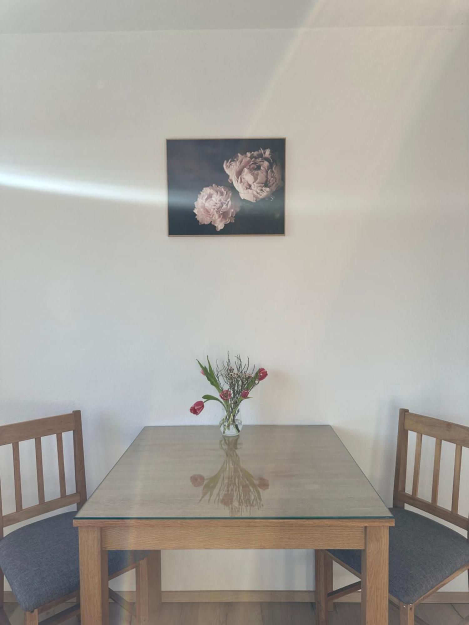 Vanessa Apartment リュブリャナ エクステリア 写真