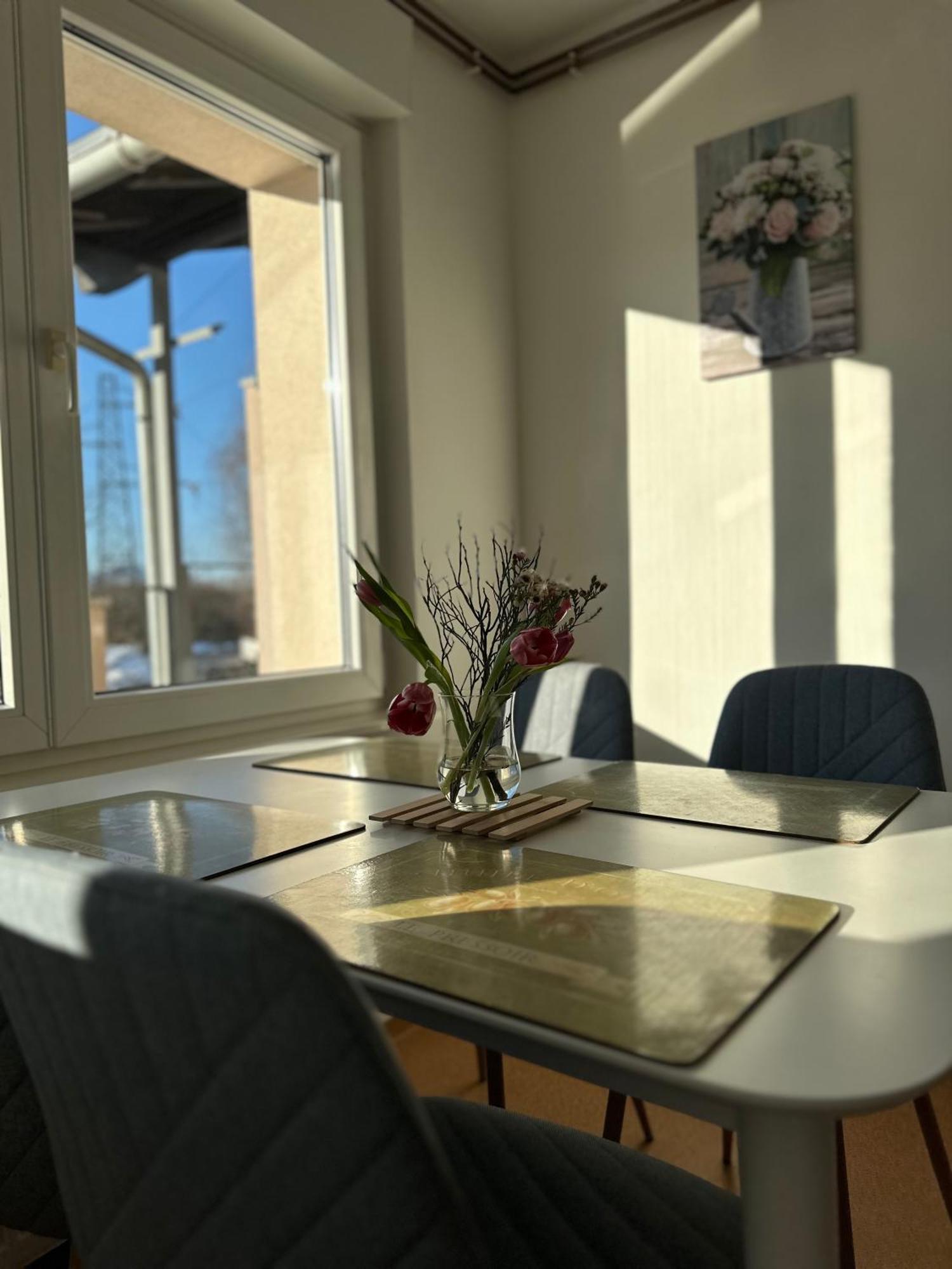 Vanessa Apartment リュブリャナ エクステリア 写真