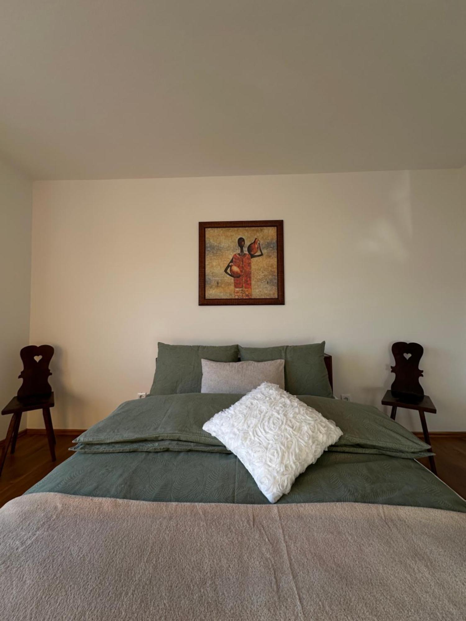 Vanessa Apartment リュブリャナ エクステリア 写真